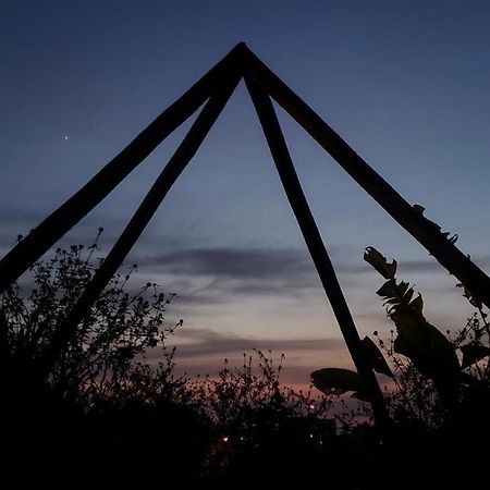 Clorofila House Glamping Naturista Ubatuba Zewnętrze zdjęcie