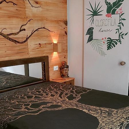 Clorofila House Glamping Naturista Ubatuba Zewnętrze zdjęcie