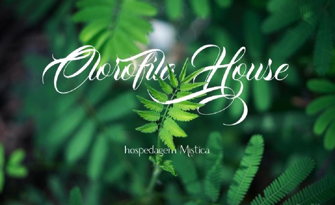 Clorofila House Glamping Naturista Ubatuba Zewnętrze zdjęcie