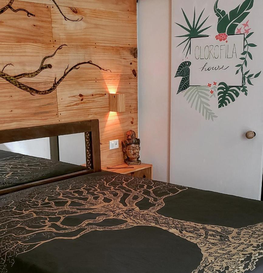 Clorofila House Glamping Naturista Ubatuba Zewnętrze zdjęcie