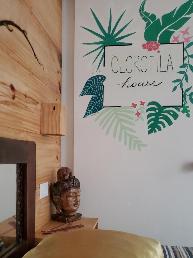Clorofila House Glamping Naturista Ubatuba Zewnętrze zdjęcie