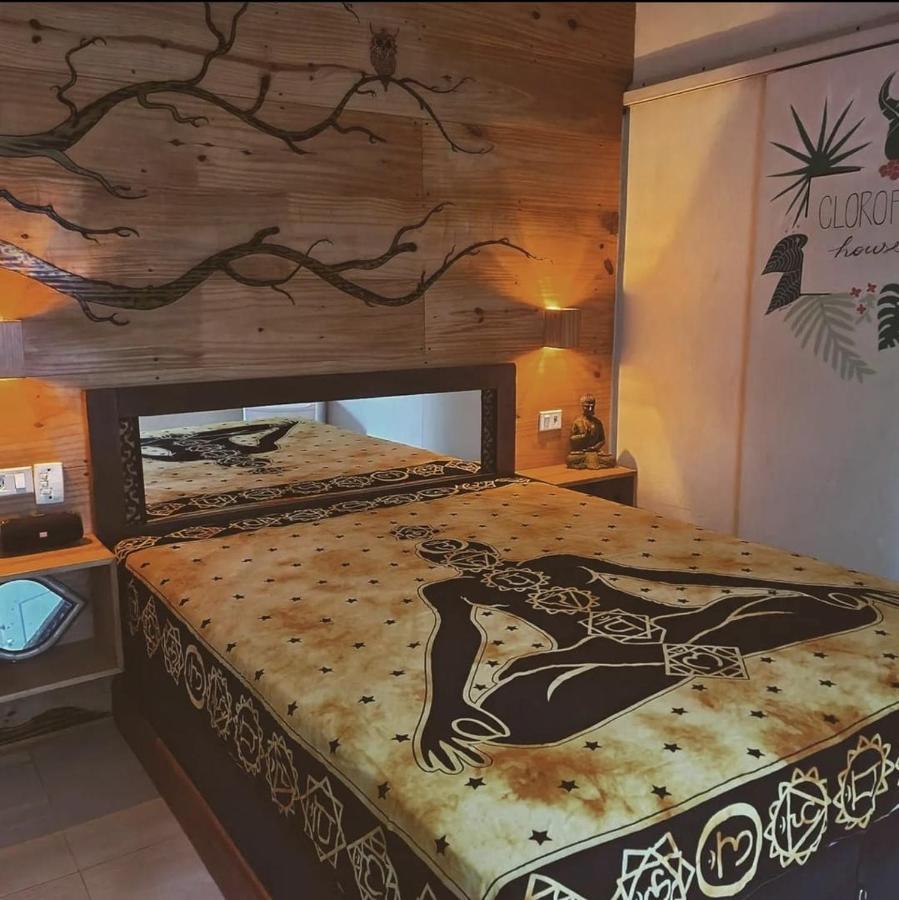 Clorofila House Glamping Naturista Ubatuba Zewnętrze zdjęcie