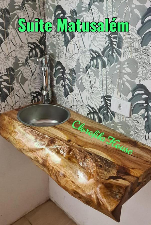 Clorofila House Glamping Naturista Ubatuba Zewnętrze zdjęcie