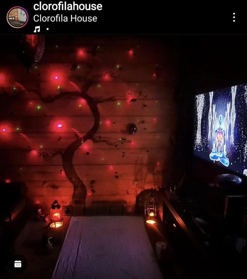 Clorofila House Glamping Naturista Ubatuba Zewnętrze zdjęcie