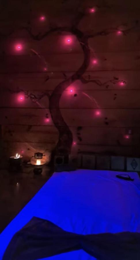 Clorofila House Glamping Naturista Ubatuba Zewnętrze zdjęcie